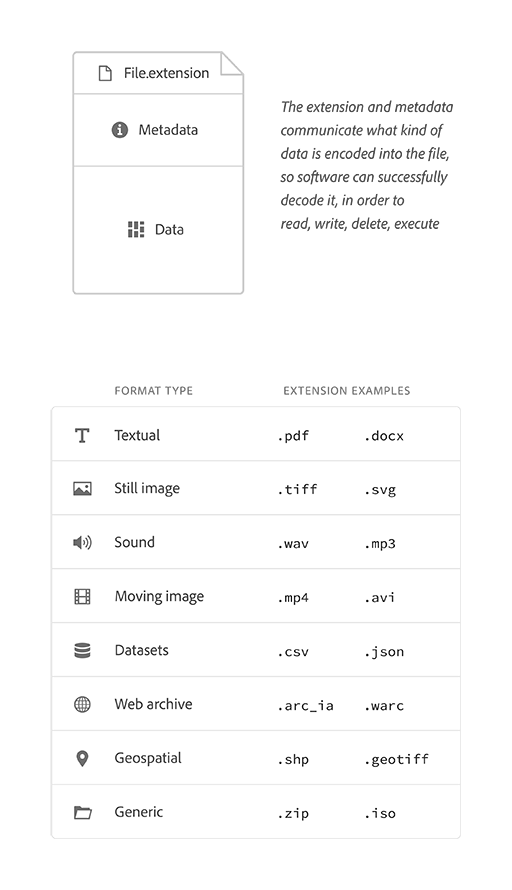Graphical diagram of the basic structure of a file, shown alongside common file format types organized by category.