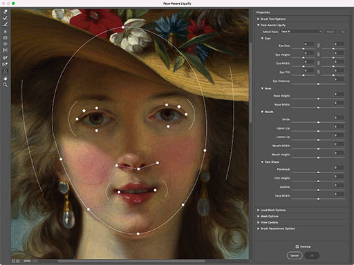 Screenshot of a dynamically generated UI in Photoshop's 'Face-Aware Liquify' tool. The UI is drawn on top of the face present in the image for users to interact with.